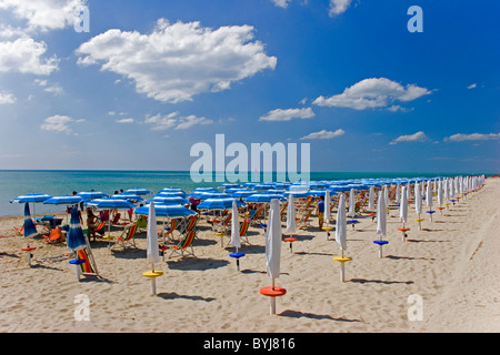 Sud Italia/ Puglia/ Metaponto colorati ombrelloni e sedie a sdraio in formazione in riva al mare Foto Stock