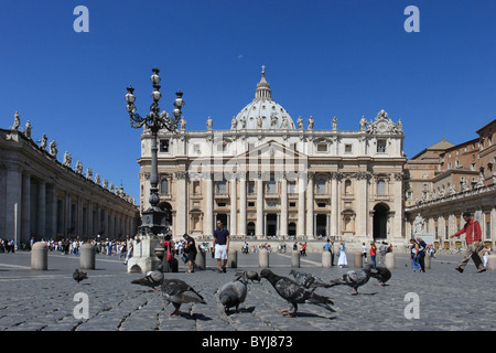 Piccioni in Piazza San Pietro e Città del Vaticano Foto Stock