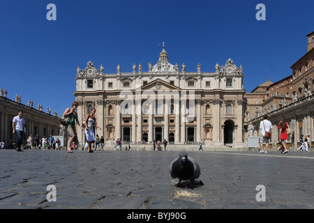 Una colomba e turisti in Piazza San Pietro e Città del Vaticano Foto Stock