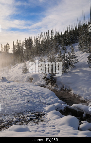 Il vapore che si elevano da una primavera calda. Parco Nazionale di Yellowstone, Wyoming negli Stati Uniti. Foto Stock