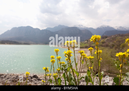 Fiore il Lago di Castel San Vincenzo la gamma della montagna Foto Stock