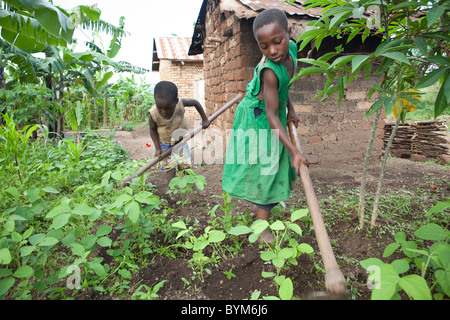 Due bambini che lavorano sul loro famiglia della piccola azienda agricola nelle zone rurali a Masaka, Uganda, Africa orientale. Foto Stock