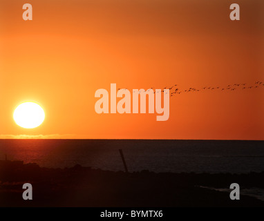 Due giorni sul santo, l'isola d'inverno. Foto Stock