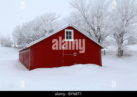 La parte anteriore del vecchio granaio rosso con finestra in inverno in Iowa Foto Stock