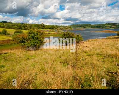 Vista guardando verso Carsington acqua un grande serbatoio che serve l'inglese midlands vicino Wirksworth nel Derbyshire Dales REGNO UNITO Foto Stock