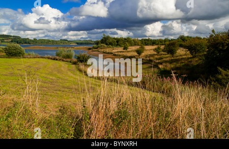 Vista guardando verso Carsington acqua un grande serbatoio che serve l'inglese midlands vicino Wirksworth nel Derbyshire Dales REGNO UNITO Foto Stock