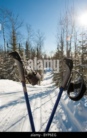 Bastoncini da sci e la pista da sci Foto Stock