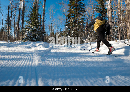 CROSS COUNTRY sciatore sul sentiero curato Foto Stock