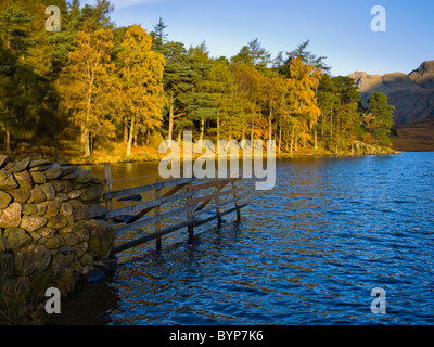Autunno mattina luce del sole su Blea Tarn nel Lake District National Park vicino a Little Langdale, Cumbria, Inghilterra. Foto Stock