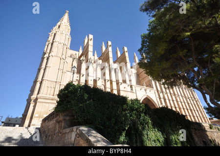 Palma De Mallorca Cattedrale noto come La Seu , consiste di struttura Gothic-Levantine seduta che si affaccia sulla baia di Palma Foto Stock