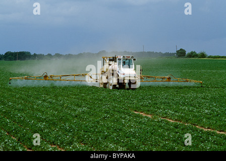 Agricoltura - applicazione di prodotti chimici di fungicida su metà della crescita arachidi / Alabama, Stati Uniti d'America. Foto Stock