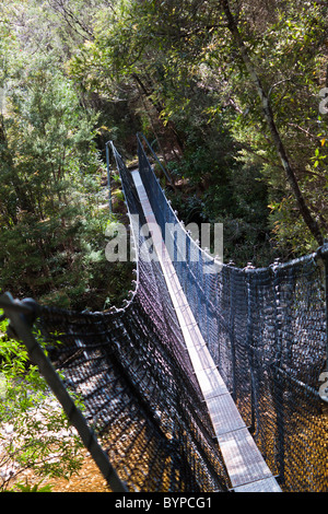 Ponte di sospensione, Franklin River, Tasmania, Australia Foto Stock