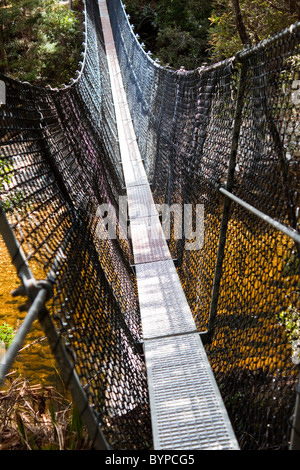 Ponte di sospensione, Franklin River, Tasmania, Australia Foto Stock