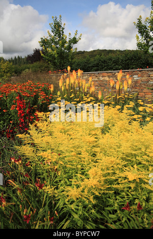 Piante erbacee confine ad RHS Gardens Royal Horticultural Society garden Rosemoor grande Torrington Devon UK Foto Stock