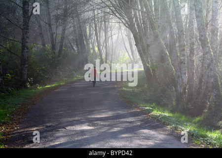 Donna che cammina un vecchio curvo piccola strada che si snoda attraverso una fitta nebbia bosco di latifoglie, alla luce del sole lo streaming attraverso gli alberi Foto Stock