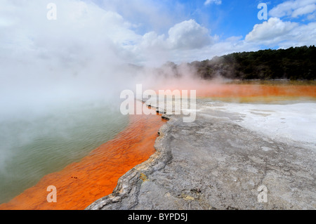 Il pool di Champagne, un lago termale a Wai-o-Tapu regione geotermica vicino a taupo in Nuova Zelanda Foto Stock