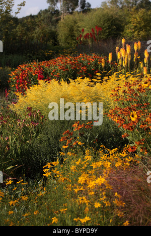 Piante erbacee confine ad RHS Gardens Royal Horticultural Society garden Rosemoor grande Torrington Devon UK Foto Stock