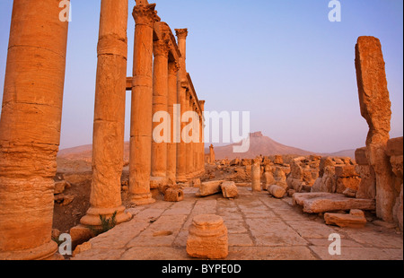 Il Colonnato Street e il castello arabo a Palmyra, Siria Foto Stock