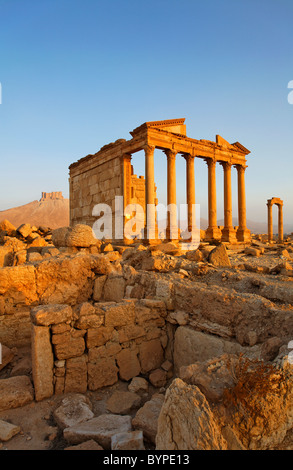 Il tempio funerario e il castello arabo a Palmyra, Siria Foto Stock