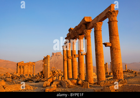 Il Colonnato Street e il castello arabo, Palmyra, Siria Foto Stock