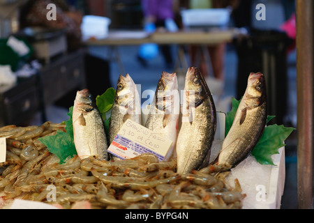 Display del pesce di Rialto, mercato del pesce, Venezia, veneto, Italia Foto Stock