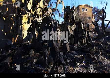 Una casa bruciata da un massiccio incendio boschivo si trova in Un pendio in Kibbutz Beit Oren situato nel cuore Della catena montuosa del Carmelo nel nord di Israele Foto Stock