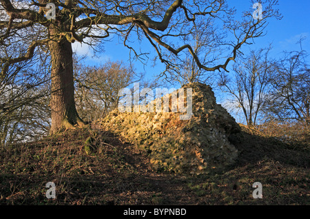 Resti di mura romane all'angolo sud-ovest di Venta Icenorum a Caistor St Edmund, vicino a Norwich, Norfolk, Regno Unito. Foto Stock