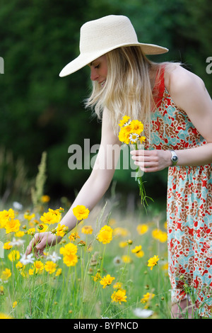 Giovane donna in abiti estivi e Hat la raccolta di fiori di campo in un prato, New Jersey Foto Stock