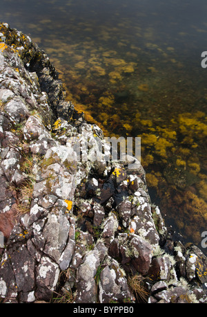 La bassa marea rivelando Lichen rocce coperte sulle rive di Loch Nan Ceall Foto Stock