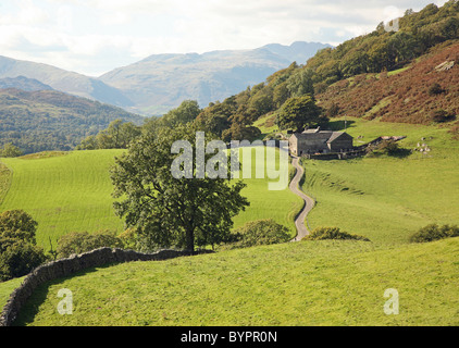 Un avvolgimento farm via tra Troutbeck e Ambleside Lake District inglese Parco Nazionale di Inghilterra Cumbria Regno Unito Foto Stock