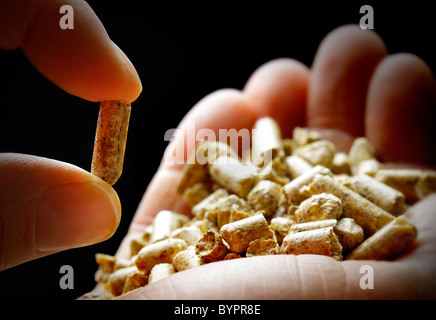 Pellet di legno Foto Stock