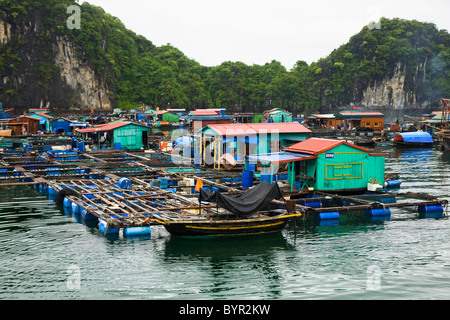 Floating villaggio di pescatori. La Baia di Ha Long. Quảng Ninh provincia, Vietnam. Foto Stock