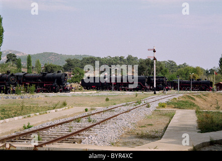 Un ampio angolo di visualizzazione di conserve Passenge turco e merci pesanti locomotive a vapore in un museo a cielo aperto in corrispondenza di Camlik vicino a Efeso Foto Stock