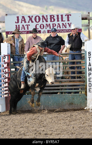 Bull Riding, Rodeo, salmone, Idaho, Foto Stock