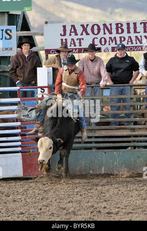 Bull Riding, Rodeo, salmone, Idaho, Foto Stock