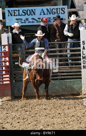 Bull Riding, Rodeo, salmone, Idaho, Foto Stock