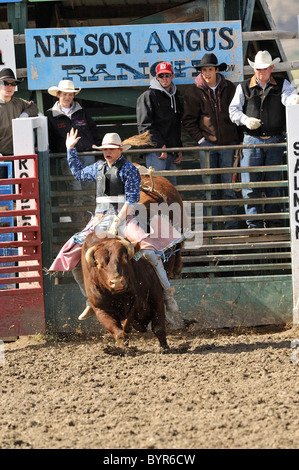 Bull Riding, Rodeo, salmone, Idaho, Foto Stock
