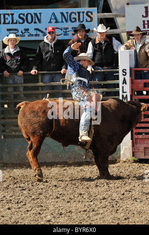 Bull Riding, Rodeo, salmone, Idaho, Foto Stock