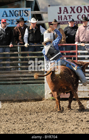 Bull Riding, Rodeo, salmone, Idaho, Foto Stock