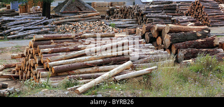 I registri di industria di legname tronchi impilati stock all'aperto Foto Stock