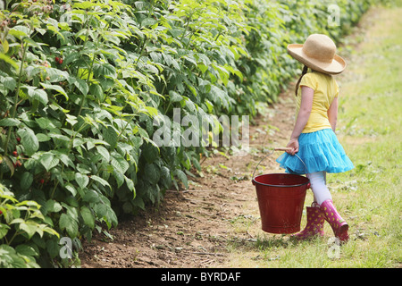 Una ragazza di indossare stivali di gomma e portante una grande, rosso secchio per la raccolta di frutti di bosco; troutdale, Oregon, Stati Uniti d'America Foto Stock