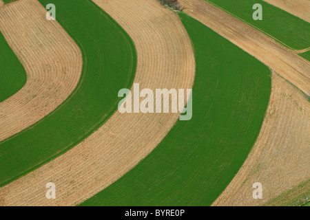 Agricoltura - Vista aerea di campi agricoli con strisce coutour a metà primavera / vicino a Lancaster, Pennsylvania, USA. Foto Stock