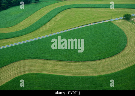 Vista aerea di campi agricoli con strisce coutour di giovani chicco di mais e di erba rasata raccolto di coperta a inizio estate / STATI UNITI D'AMERICA. Foto Stock