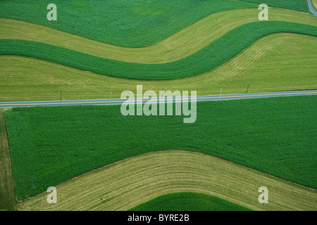 Vista aerea di campi agricoli con strisce coutour di giovani chicco di mais e di erba rasata raccolto di coperta a inizio estate / STATI UNITI D'AMERICA. Foto Stock