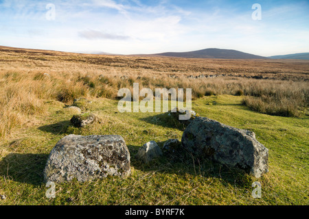 Paesaggio irlandese in Wicklow. Foto Stock