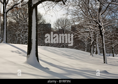 Dopo una grande tempesta di neve la mattina presto nel parco centrale Foto Stock