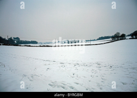 Vista della neve campi coperti dalla valle vicino Bodsham, North Downs, Ashford, Kent England Europa Foto Stock