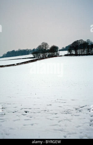 Vista della neve campi coperti dalla valle vicino Bodsham, North Downs, Ashford, Kent England Europa Foto Stock
