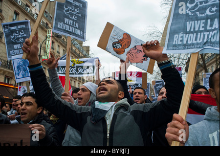 Parigi, Francia, egiziano manifestanti che protestavano contro Hosni Mubarak, esterno, Foto Stock