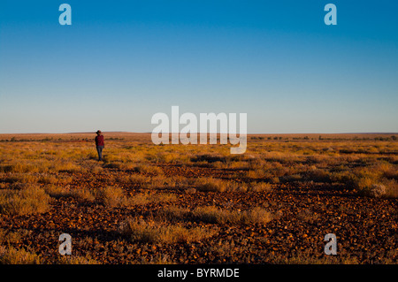 Lone persona su un gibber e mitchell erba pianura desertica con golden luce della sera Foto Stock